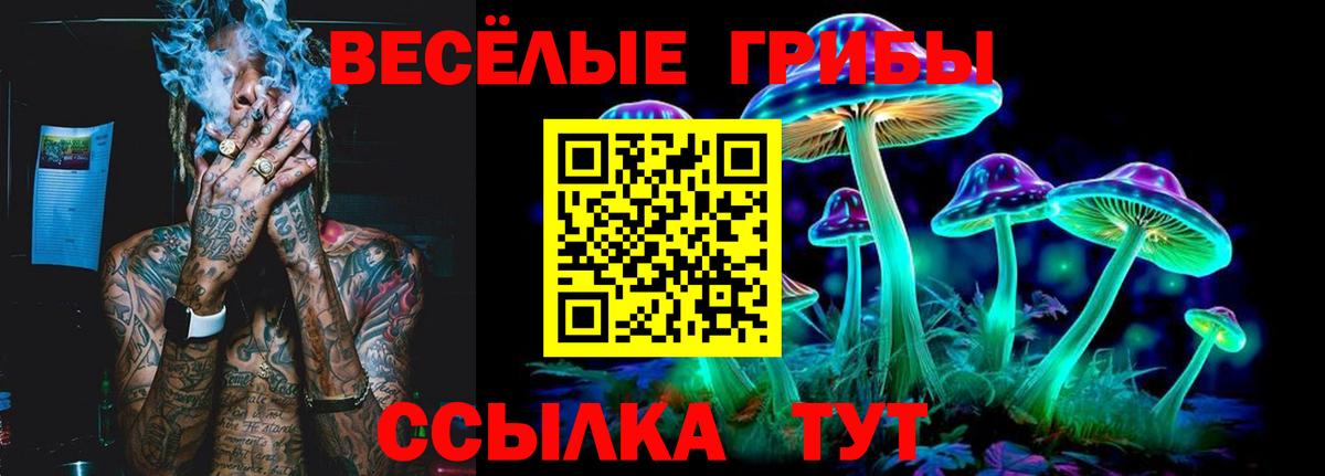Псилоцибиновые грибы прущие грибы Лесосибирск